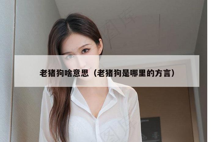 老猪狗啥意思（老猪狗是哪里的方言）